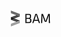 100_BAM-LOGO